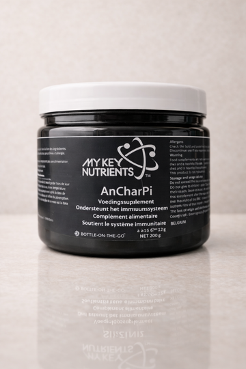 AnCharPi